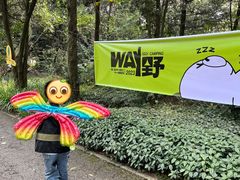 -南宁良凤江国家森林公园