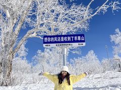 -雪谷