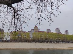 -桃花堤公园