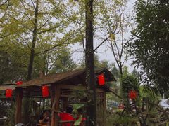 -青城甲(青城山店)