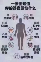 -香薇妮丝·定制减肥·身材管理