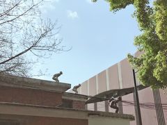 -黑胶星球(华发中城商都店)