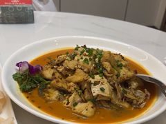 -瑞琳阿尔泰冷水鱼(康源财富中心店)