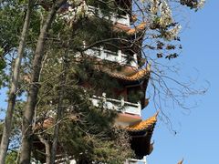 -梁子岛生态旅游区