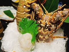 -極上萬膳·日料放题(海岸城店)