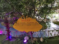 -诸城市恐龙博物馆