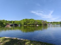 -上海共青森林公园