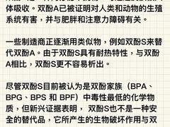 -周记老沈阳焦火鸡架