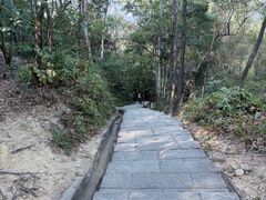 -火炉山森林公园