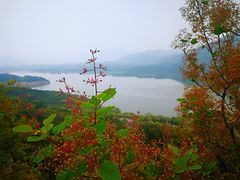 -十三陵水库