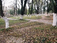 -桂林灵渠景区