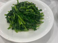 白酒有机豆苗-瑞福园联谊餐室(茂名南路店)