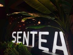 -SENTEA森茶(麦地丽日店)