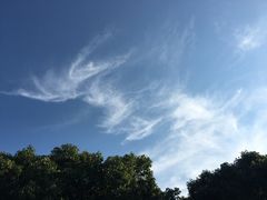 -普陀山祥生大酒店