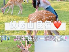 -伏羲山旅游区