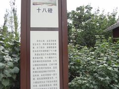 DSC08309-永定河休闲森林公园