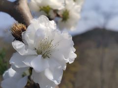 -棒棰岛宾馆景区
