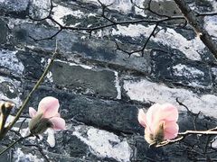 -东华门大街小区