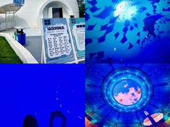 -南戴河国际娱乐中心