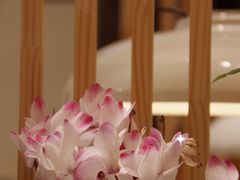 -木王宴语·野生鲜菌火锅(玉河店)