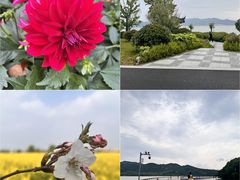 -天平湖公园