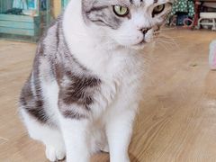 -小时光咖啡馆(开森度假森林店)