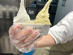 -野人先生现做冰淇淋(西安赛格店)