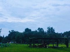 -洪湖家庭农场·团建·露营·会议