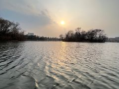 -莱西月湖公园
