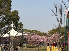 -新江湾城公园
