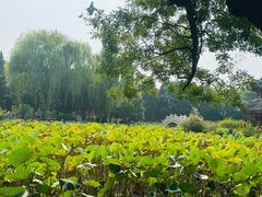 -莲池书院博物馆
