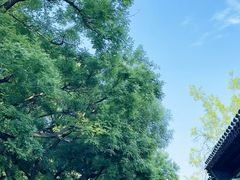 -北京国子监胡同