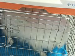 -宠爱我(南山店)