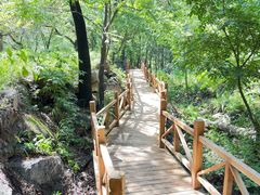 -大岭沟猕猴桃谷风景区