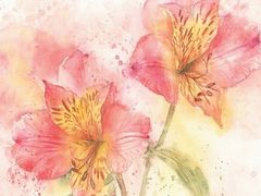 -八哥美术·成人美术画室(总校区)