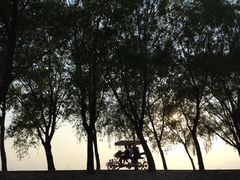 景点-野鸭湖国家湿地公园