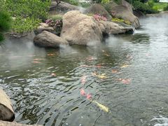 -罗红摄影艺术馆