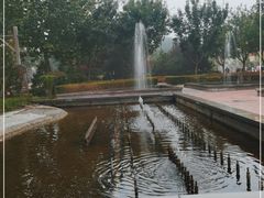 -南宫五洲植物乐园