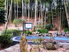 -江南天池高山汤泉城