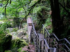 -龙苍沟森林公园