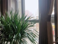 -大鸭梨烤鸭(枣园店)