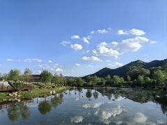 -芦芽山旅游度假区