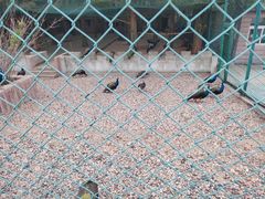 -南京金牛湖风景区