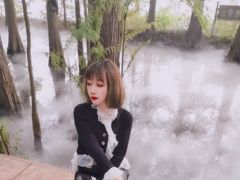-东湖落雁景区