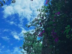 -寂照庵