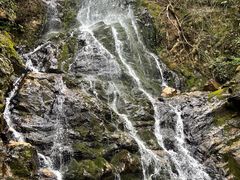 -江西阳明山国家森林公园