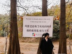 -天花井景区