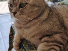 -平行世界·猫咖(首经贸店)