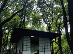 -中国茶叶博物馆(双峰馆区)