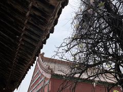 -故宫博物院(故宫)